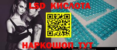 прущие крисы Моздок