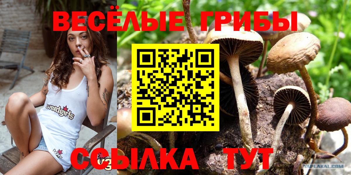 Светлоград  Галлюциногенные грибы Magic Shrooms  Вход с VPN 